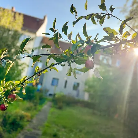 Apartment Immostay Mit Garten & Free Parking *