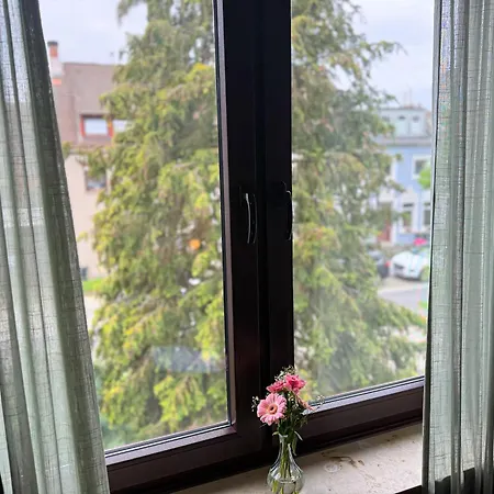 Immostay Mit Garten & Free Parking Apartment *